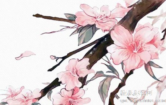结婚当天回门有什么讲究  回门要穿新衣裳