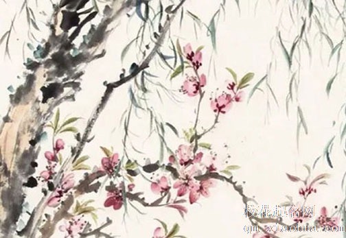 清明节提车有忌讳吗? 此节日拔河寓意积极向上