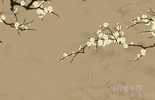 女人脖子上戴玉貔貅好吗 貔貅头朝上可纳八方财气