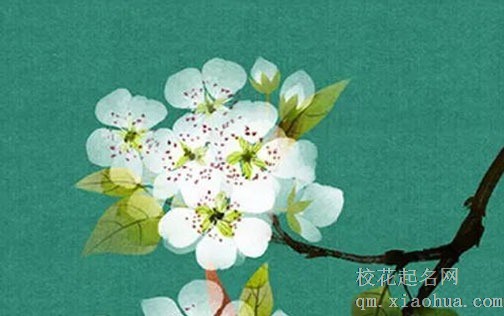 清明节生的孩子真的是鬼投胎? 今日生贵人运旺