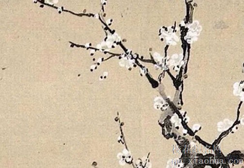 清明节为什么要踏青 清明节踏青的意义