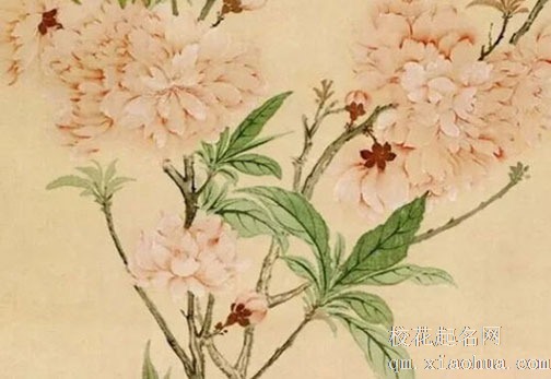 清明节有什传统风俗和讲究 踏青代表生活如意幸福