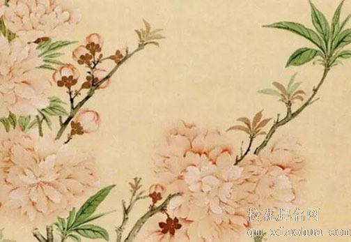 清明节有什传统风俗和讲究 踏青代表生活如意幸福