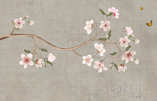 女人佩戴貔貅戴哪个手 夫妻佩戴貔貅手链分公母
