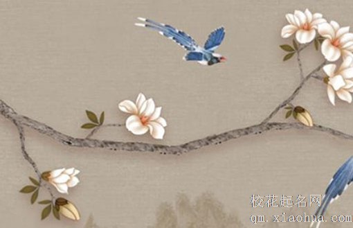 女人佩戴貔貅戴哪个手 夫妻佩戴貔貅手链分公母