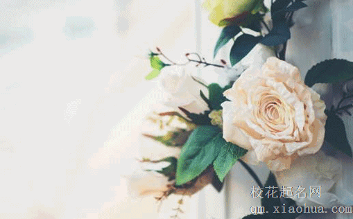 结婚送亲有什么讲究 送亲的禁忌盘点