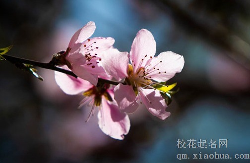 老公财运不好怎样化解 鱼缸放凶位上可催财