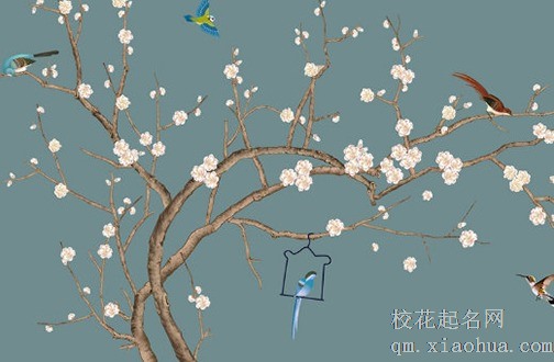 三种最旺家的花 金钱树象征家中钱财不断