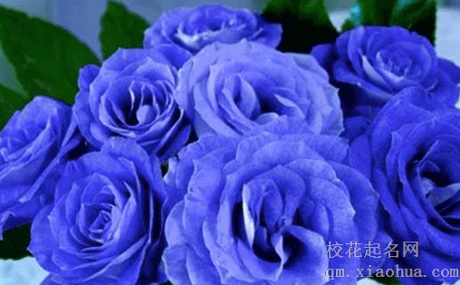 结婚铺床吉言 铺新婚床怎么说祝福语