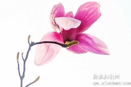 结婚陪嫁箱里面装什么 女方压箱钱是不是彩礼钱