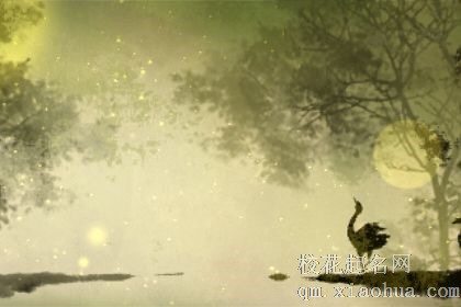 五月初五出生的是什么星座 五月初五出生的命运分析