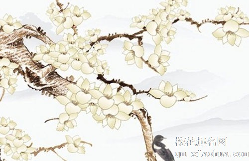 家里一进门摆放什么好 绿植适合摆放在家里吗