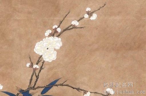 儿子定亲需要准备什么礼物 订婚送女方什么礼品