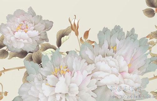 小暑节气的由来和风俗 小暑的农事活动物候特征是什么