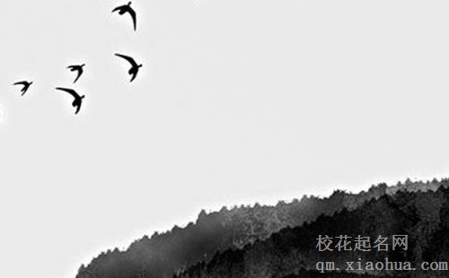入户门里面挂葫芦挂左边还是右边 兴旺财运驱赶霉气