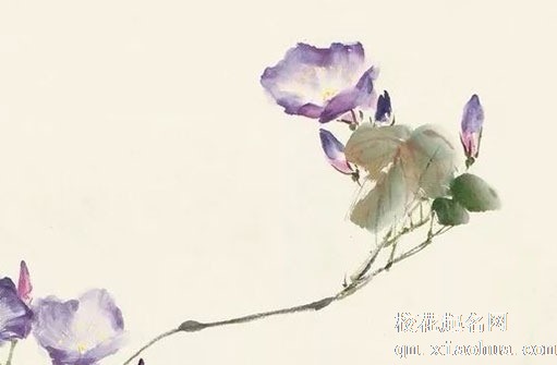 离娘肉女方留下什么 离娘肉能让闺女吃吗