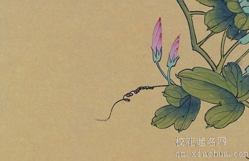 7月半是什么节 7月半是阳历几月几号