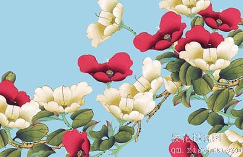 提亲在女方家吃饭吗 提亲去女方家谁请客