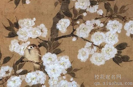 女方长期住娘家的忌讳 对娘家婆家影响不好