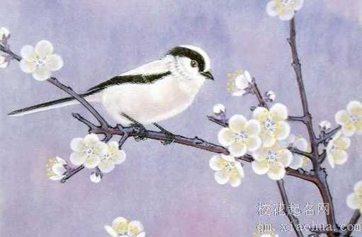 男方去女方家可以睡在一起吗 男女分开睡为宜