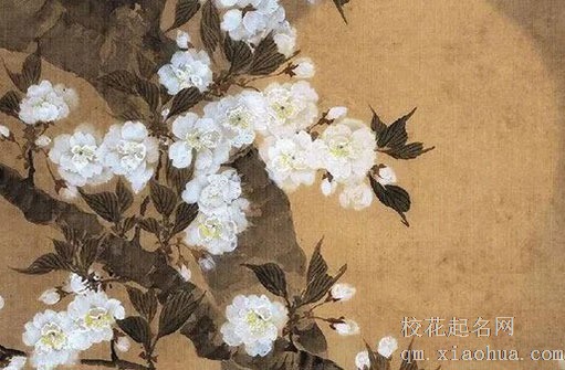 女人结婚了回娘家夫妻可以睡一起吗 回门不同房有讲究