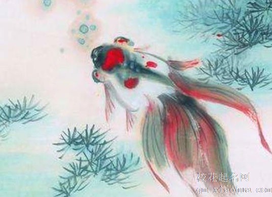 必出贵人的四大住宅气运盘点 家有动物筑巢寓意阳气旺