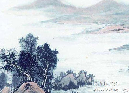 隔断柜放什么摆件好 隔断可选择阔叶型植物