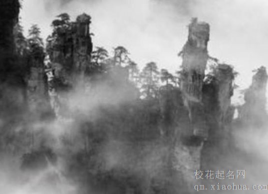 正对入户门的客厅放什么 正对大门摆什么摆件好