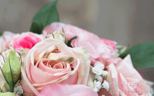 嫁女儿葱是男方拿是女方拿 离娘肉为必备彩礼之一