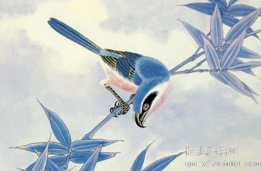 娶媳妇下雨天的寓意 夫妻未来生活幸福