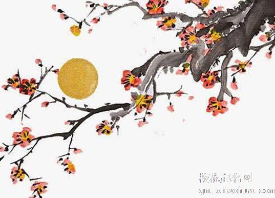 为什么西北角不能住人 客厅西北缺角不利男主人运势