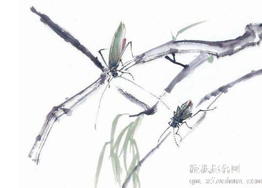 坐北朝南的房子厕所和厨房的位置 厨卫相邻为大凶之象