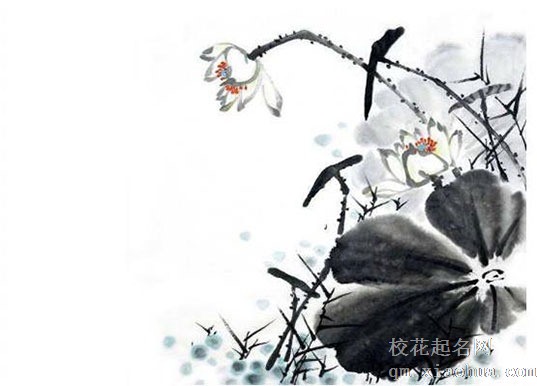 坐北朝南的房子大门应开哪个方向 大门位置不宜开正中