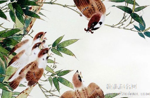 下雨天领证有讲究吗 下雨天领结婚证寓意