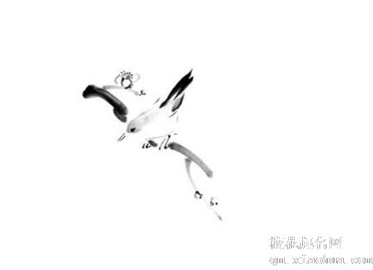 装修厨房最忌讳的十件事 洗衣机放厨房伤气运