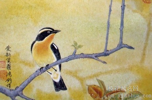 农村结婚给长辈磕头顺序 男士在前女在后