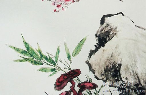 女儿出嫁时发亲仪式程序 女儿出嫁拜别仪式