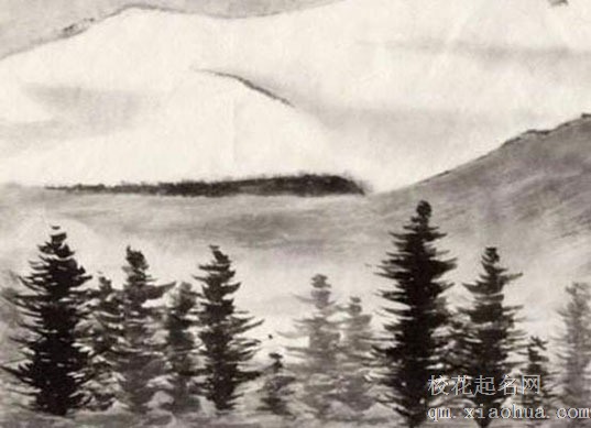 厨房的最佳方位 厨房灶台的最佳朝向西