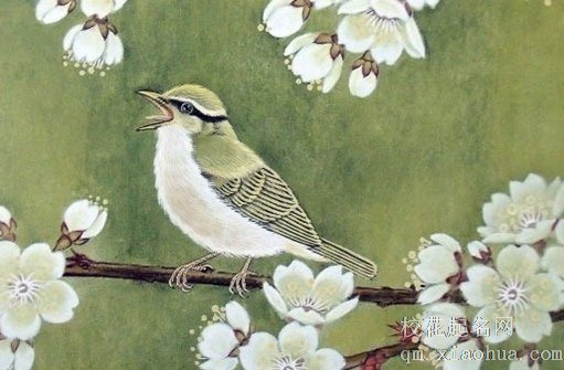 属兔36逢九年忌讳什么 遇九不做重大决定