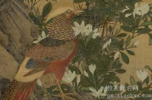 葫芦挂房间什么地方最合适 葫芦可化解横梁压顶煞气