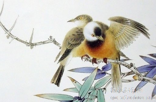 结婚拜堂磕头讲究 娘家婆家各一次