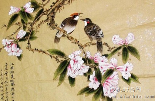 结婚单岁和双岁有啥说法 男双女单最适合