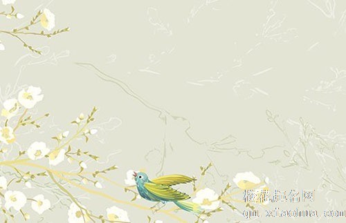 车牌号最旺财的字母 这些字母帮助车主钱财进账