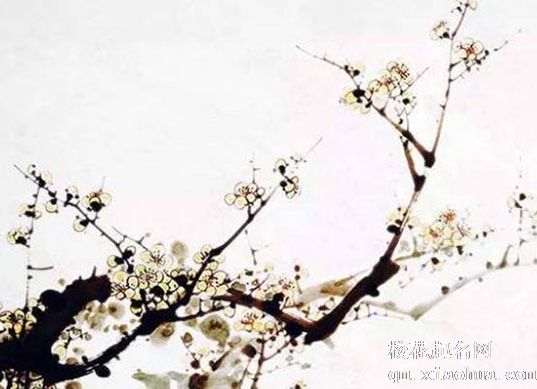 厨房门忌讳的颜色 厨房门破损需尽快更换