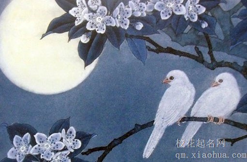 女孩出嫁下雨民间说法 结婚下雨的媳妇不长命