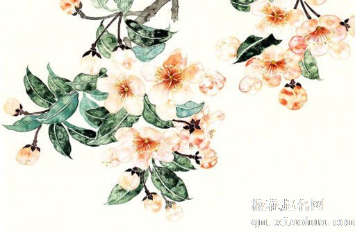 结婚下雨是什么兆头 结婚下雨新娘命苦吗