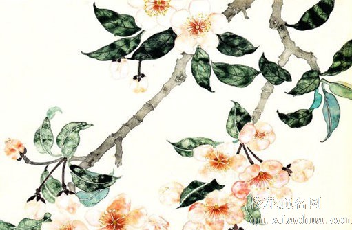 结婚前一天下雨新娘命苦 婚前要做好万全准备