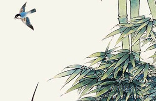 处暑微风阵阵凉,葵花朵朵向阳光 天气回凉带来阵阵清风