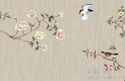 灶台和水槽的最佳位置图片 水槽与灶台最忌成直线相连