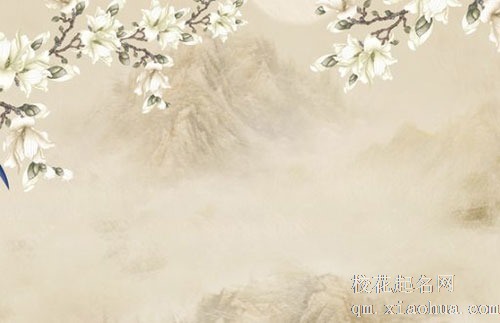 厨房装修有讲究吗 厨房门有什么讲究吗